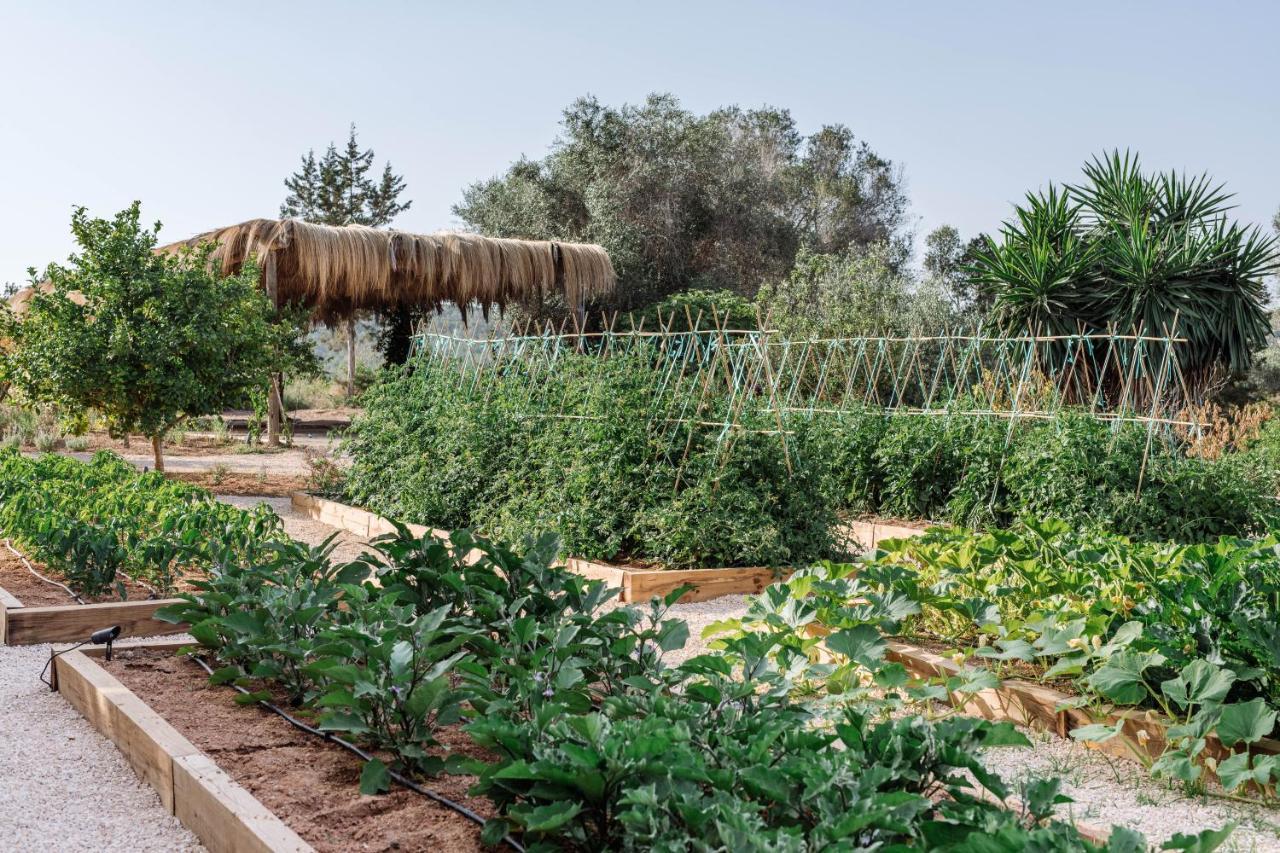 Agroturismo Can Domo Santa Eularia des Riu Dış mekan fotoğraf